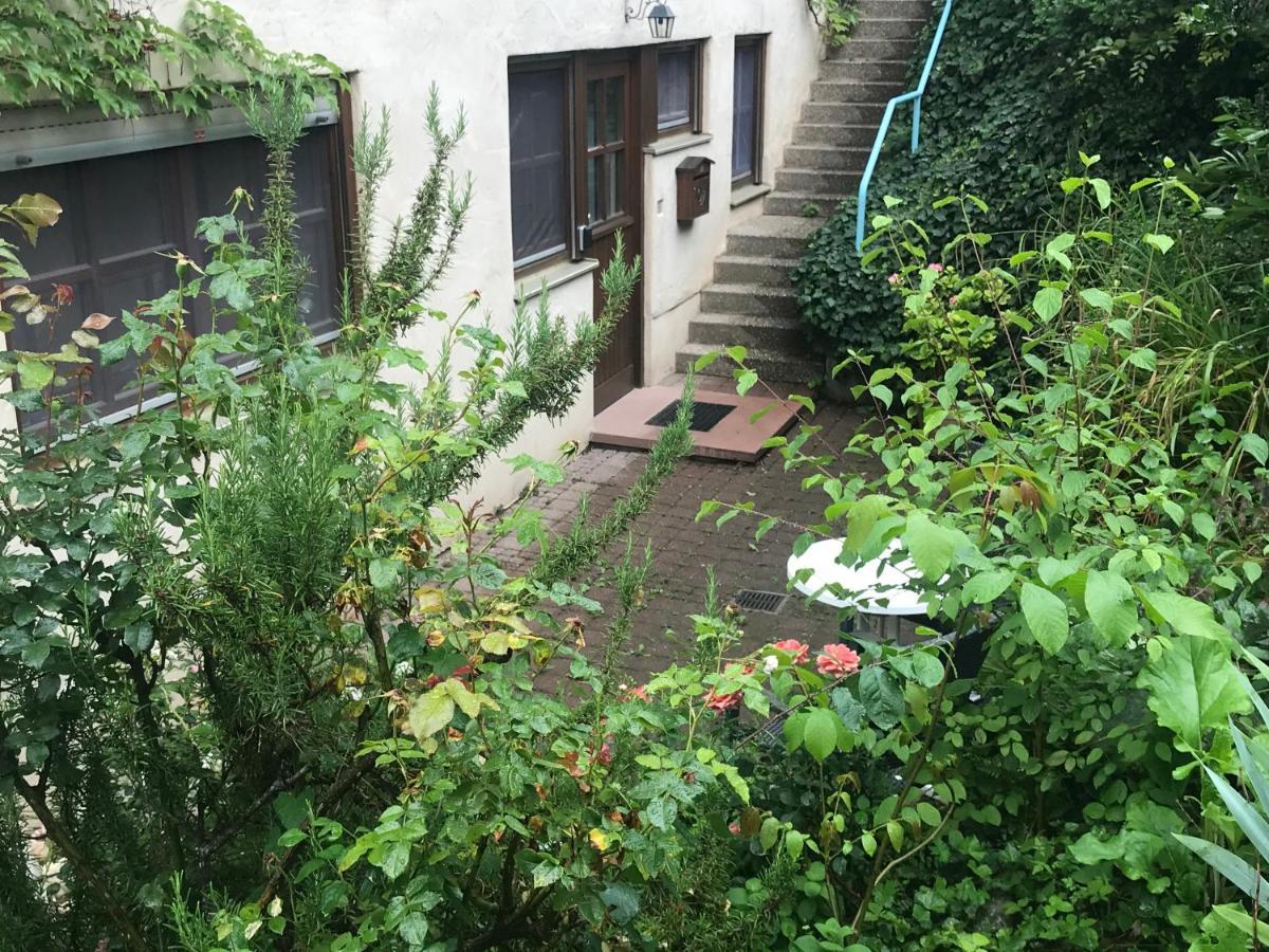 גונדלפינגן Gartenwohnung מראה חיצוני תמונה